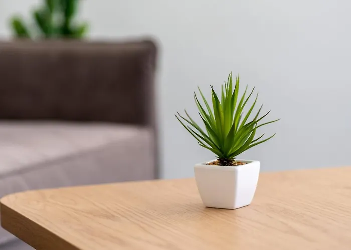 Villa New Sea Serenity Next To The Sea With Private Jacuzzi *